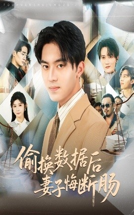 《偷换数据后妻子悔断肠》短剧高清全集免费在线观看