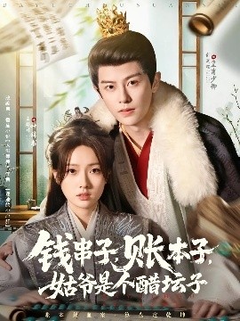 《钱串子，账本子，姑爷是个醋坛子》短剧高清全集免费在线观看