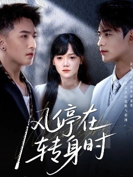 《风停在转身时》短剧高清全集免费在线观看