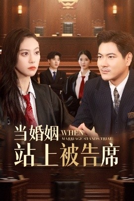 《当婚姻站上被告席》短剧高清全集免费在线观看