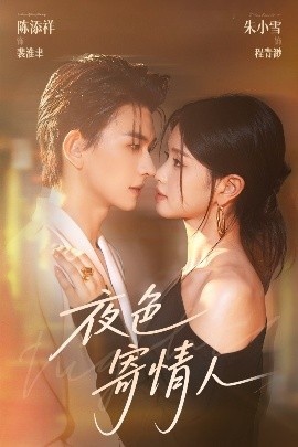 《夜色寄情人》短剧高清全集免费在线观看