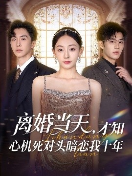 《离婚当天，才知心机死对头暗恋我十年》短剧高清全集免费在线观看
