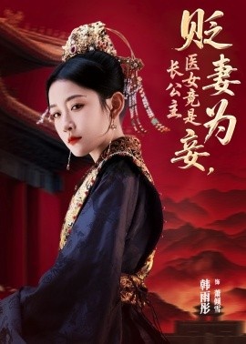 《贬妻为妾，医女竟是长公主》短剧高清全集免费在线观看
