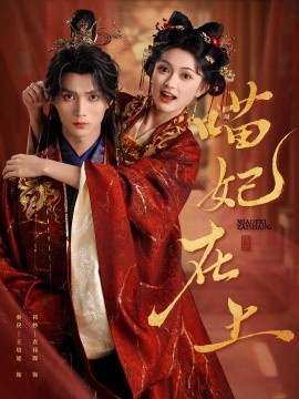 《喵妃在上》短剧高清全集免费在线观看