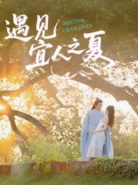 《遇见宜人之夏》短剧高清全集免费在线观看