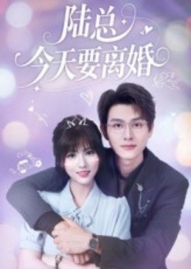 《陆总今天要离婚》短剧高清全集免费在线观看