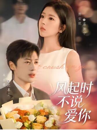 《风起时不说爱你》短剧高清全集免费在线观看