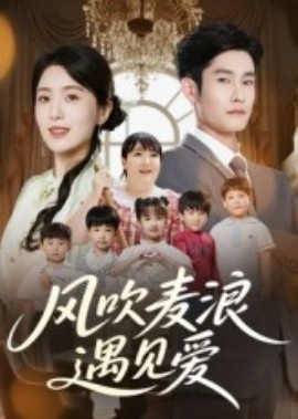 《风吹麦浪遇见爱》短剧高清全集免费在线观看