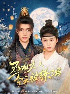 《丞相大人今天被撩了吗》短剧高清全集免费在线观看