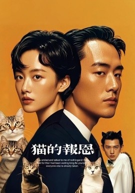 《猫的报恩》短剧高清全集免费在线观看