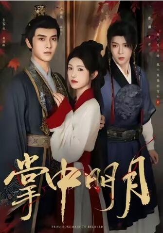 《掌中明月》短剧高清全集免费在线观看