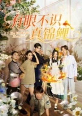 《有眼不识真锦鲤》短剧高清全集免费在线观看