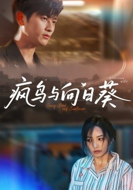 《疯鸟与向日葵》短剧高清全集免费在线观看