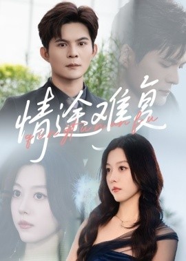 《情途难复》短剧高清全集免费在线观看