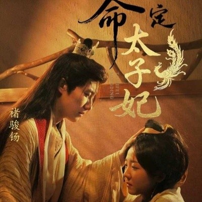 《命定太子妃》短剧高清全集免费在线观看