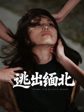 《逃出缅北》短剧高清全集免费在线观看