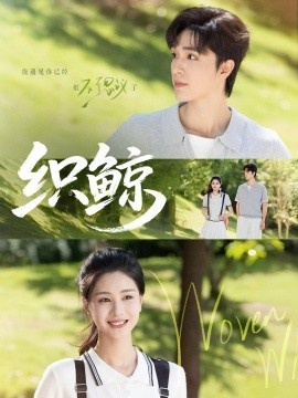 《织鲸》短剧高清全集免费在线观看