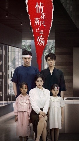 《情花落尽已成殇》短剧高清全集免费在线观看