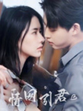《情网引君》短剧高清全集免费在线观看