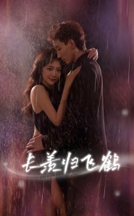 《长羡归飞鹤》短剧高清全集免费在线观看