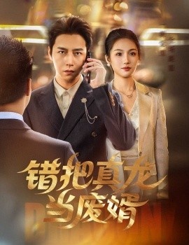 《错把真龙当废婿》短剧高清全集免费在线观看