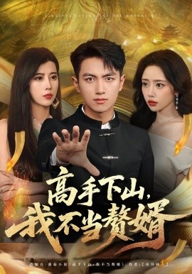 《高手下山，我不当赘婿》短剧高清全集免费在线观看