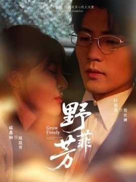 《野芳菲》短剧高清全集免费在线观看