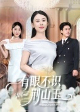 《有眼不识荆山玉》短剧高清全集免费在线观看