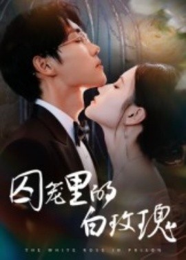《囚笼里的白玫瑰》短剧高清全集免费在线观看