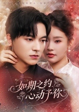 《如期之约，心动予你》短剧高清全集免费在线观看
