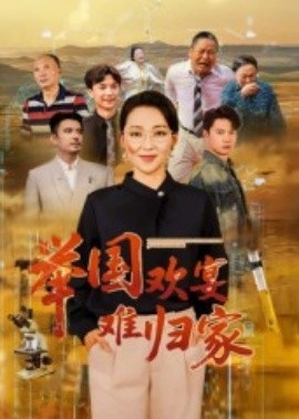 《举国欢宴难归家》短剧高清全集免费在线观看