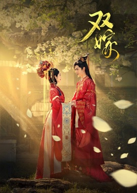 《双嫁》短剧高清全集免费在线观看