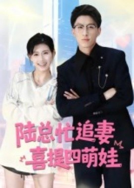 《陆总忙追妻，喜提四萌娃》短剧高清全集免费在线观看