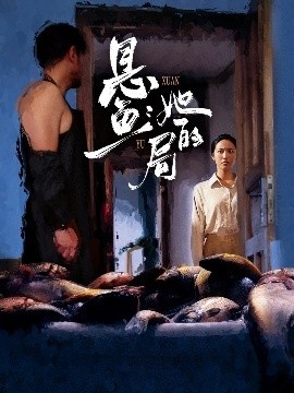 《悬鱼：她的局》短剧高清全集免费在线观看