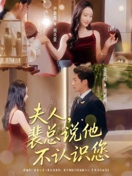 《夫人,裴总说他不认识您》短剧高清全集免费在线观看