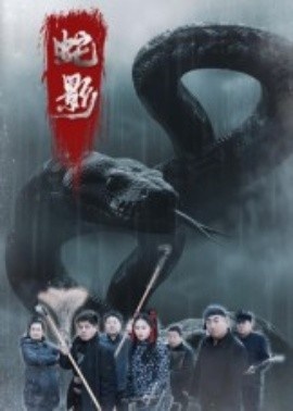 《蛇影》短剧高清全集免费在线观看
