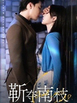 《靳夺南枝》短剧高清全集免费在线观看