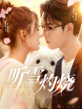 《听雪灼烧》短剧高清全集免费在线观看