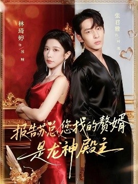 《报告苏总，您找的赞婿是龙神殿主》短剧高清全集免费在线观看
